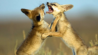 Into the Wild India Season 1 Episode 6