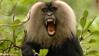 Into the Wild India Season 1 Episode 7