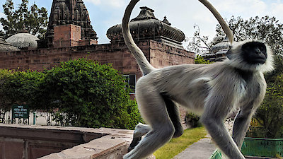 Into the Wild India Season 1 Episode 8