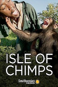 Isle of Chimps