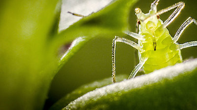 Macro Worlds Season 1 Episode 2