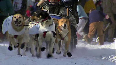 Toughest Race on Earth: Iditarod  Season 1 Episode 1