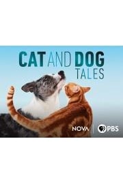 Cat and Dog Tales