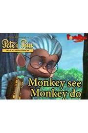 The new adventures of Peterpan