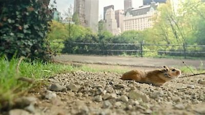 Tiny Creatures Season 1 Episode 2