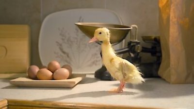Tiny Creatures Season 1 Episode 7