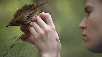 Connected Season 1 Episode 1