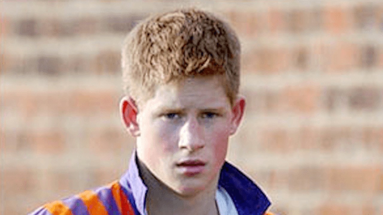 Wild About Prince Harry