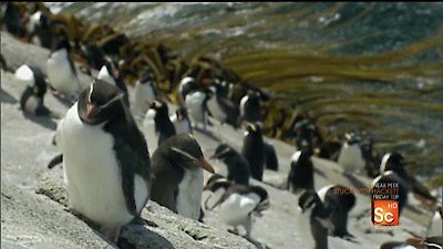 Mutant Planet Season 1 Episode 1