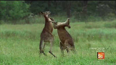 Mutant Planet Season 1 Episode 2