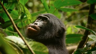 Mutant Planet Season 2 Episode 1