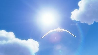 Fractale Season 1 Episode 11