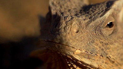 Little Giants Season 1 Episode 1