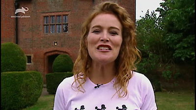 Top Dog Season 1 Episode 1