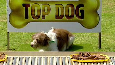 Top Dog Season 2 Episode 5