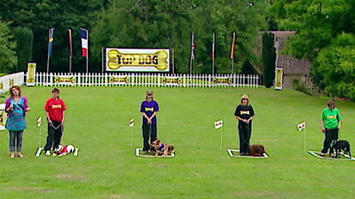 Top Dog Season 2 Episode 9