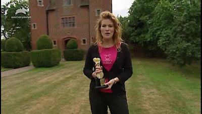 Top Dog Season 1 Episode 5