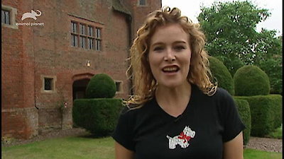 Top Dog Season 1 Episode 6