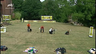 Top Dog Season 1 Episode 8