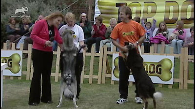 Top Dog Season 1 Episode 9