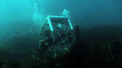 Abalone Wars Season 3 Episode 2