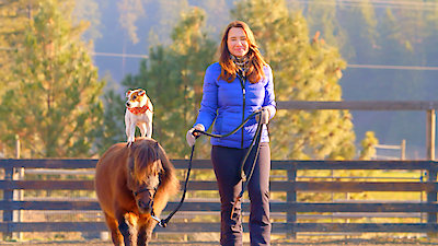 Best Friends Furever With Kel Mitchell Season 1 Episode 17