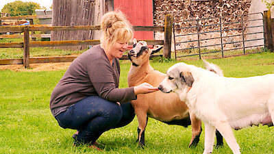 Best Friends Furever With Kel Mitchell Season 1 Episode 23