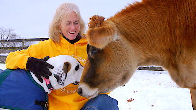 Best Friends Furever With Kel Mitchell Season 1 Episode 25