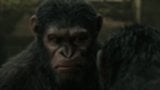 Dawn of the Planet of the Apes