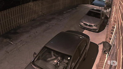 Crimes Gone Viral Season 1 Episode 3