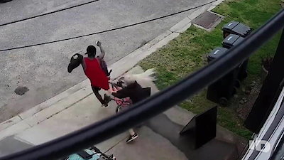 Crimes Gone Viral Season 1 Episode 4