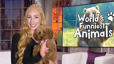 World's Funniest Animals Season 1 Episode 1