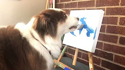 World's Funniest Animals Season 2 Episode 7