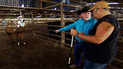 Only in America with Larry the Cable Guy Season 1 Episode 18