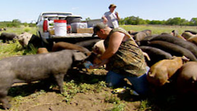 Only in America with Larry the Cable Guy Season 1 Episode 20