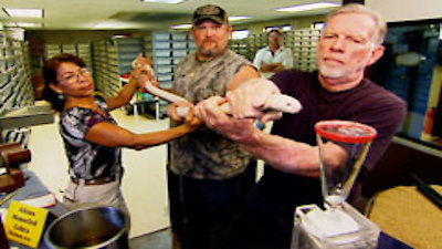 Only in America with Larry the Cable Guy Season 3 Episode 6