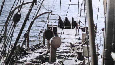 The Curious Life and Death of... Season 1 Episode 3