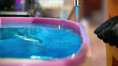 Holiday Wars Season 6 Episode 4