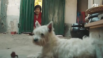 The Light in Your Eyes Season 1 Episode 4