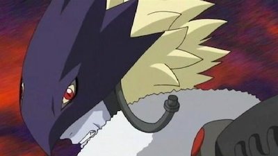 Digimon Tamers Season 1 Episode 36