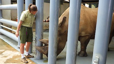 Magic of Disney's Animal Kingdom Season 1 Episode 8