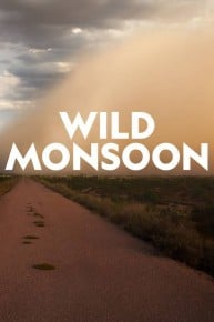 Wild Monsoon