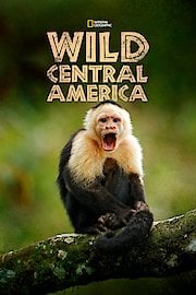 Wild Central America