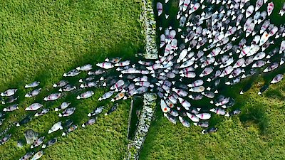 Europe from Above Season 1 Episode 4