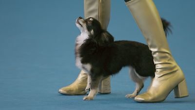 We Are the Champions Season 1 Episode 5