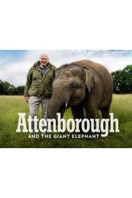 Attenborough and the Giant Elephant