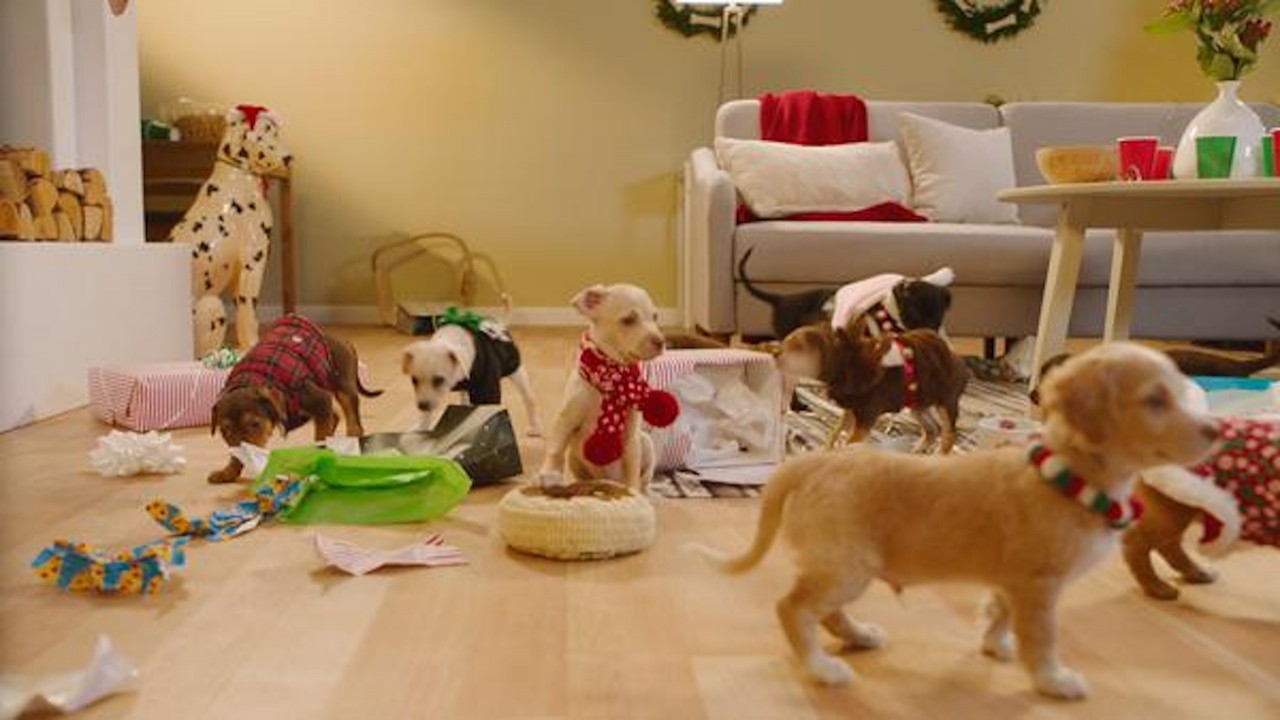 A White Elephant Puppy Party