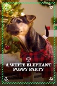 A White Elephant Puppy Party