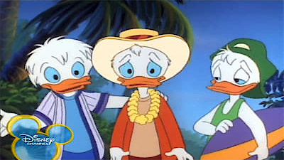 Quack Pack Season 1 Episode 23