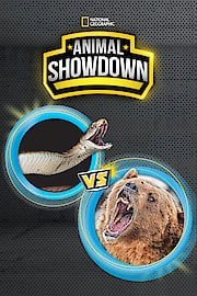 Animal Showdown